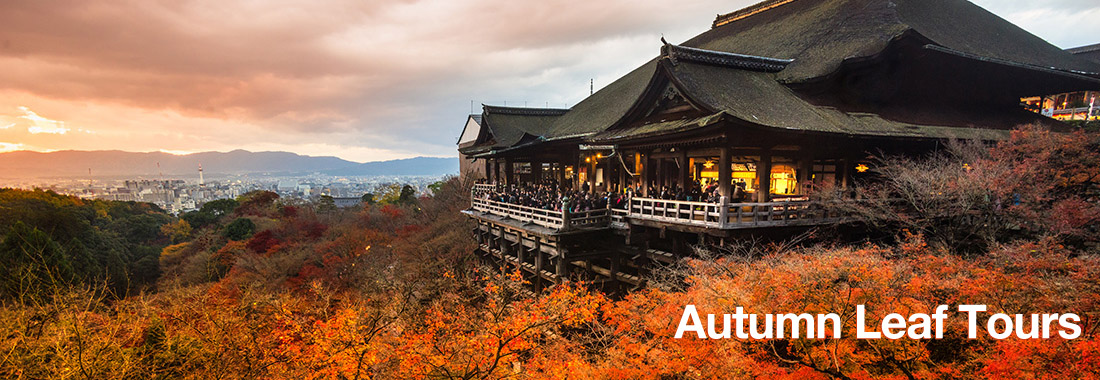 See the spectacular autumn colours of Japan