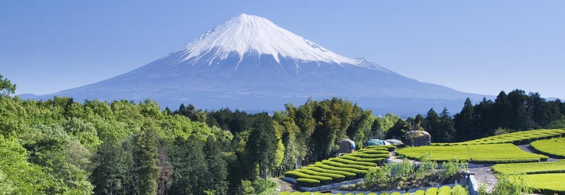 Japan holiday bookings