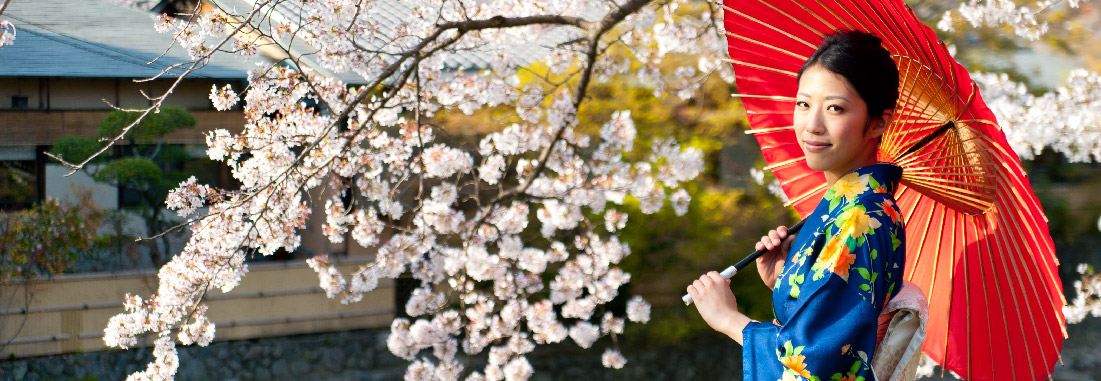 Cherry Blossom Tours, Japan