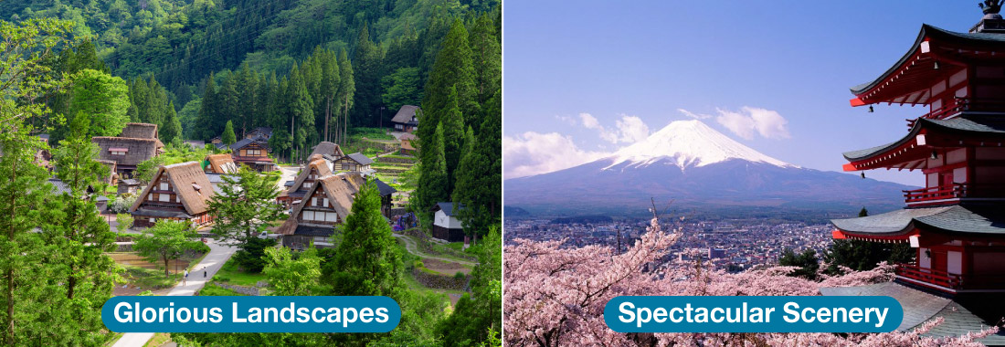 Glorious Landscapes / Spectacular Scenery